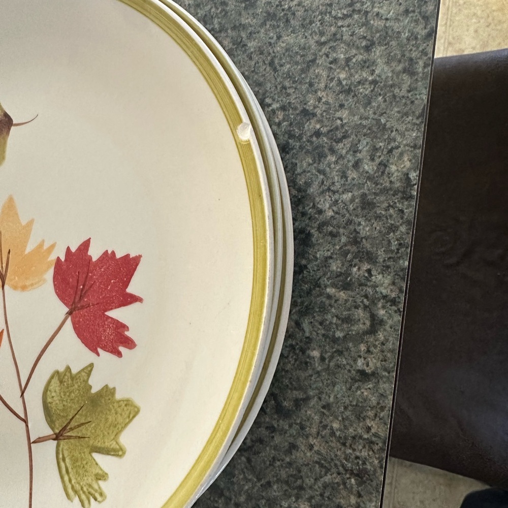 Autumn Leaf Dinnerware Set - Picture 2 of 2